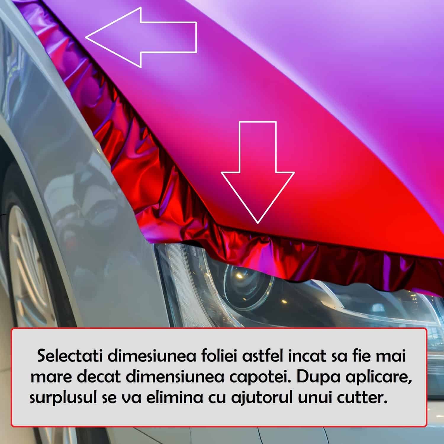 surplus-folie_c3u9-vp.jpeg